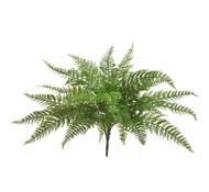 Treez   (26 ), 4070 