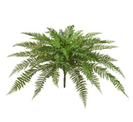 Treez    (37 ), 50110 