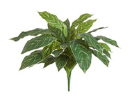 Treez     (35 ), 5060 , -
