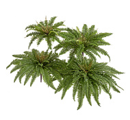 Treez    (33 ), 3065 ,  