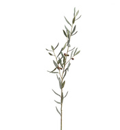 Treez      Prime, 115 