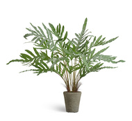 Treez      , 90100 