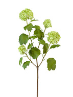 Treez   () (4 ), 67 , -