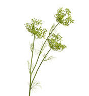 Treez    -  (3 ), 82 