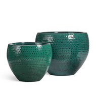 Treez  Effectory Ron  Classic -  (), 3939 