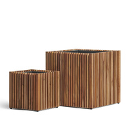 Treez  Effectory Timberline   , 515150 