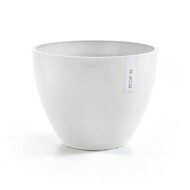ECOPOTS  Antwerp, 5040 , 