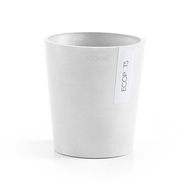 ECOPOTS  Morinda Orchid, 1416 , 