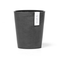 ECOPOTS  Morinda Orchid, 1720 , 