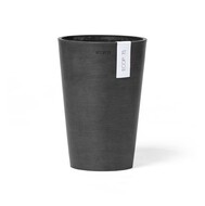 ECOPOTS  Pisa, 1420 , 