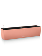 Lechuza    Balconera Color 80, 791919 ,  