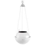 Lechuza    Bola Color 23, , 2318 ,  