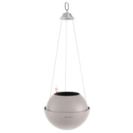 Lechuza    Bola Color 23, , 2318 , - 