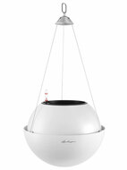Lechuza    Bola Color 32, , 3225 ,  