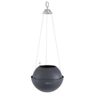 Lechuza    Bola Color 32, , 3225 , - 
