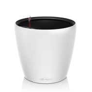 Lechuza    Classico Color LS 35, 3632.5 ,  