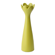 Bergenson Bjorn  Laminaria, 6.36.323 , 