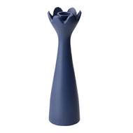 Bergenson Bjorn  Laminaria, 6.36.323 , 