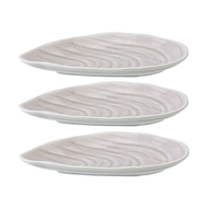 Tkano    Oyster shell   Sea treasures