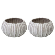 Tkano   Sea treasures Actinia (640 ), 2 ., 