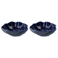 Tkano   Sea treasures Actinia (640 ), 2 ., 