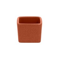 RAK Porcelain  NeoFusion Terra (60 ), 