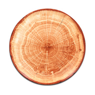 RAK Porcelain   Coupe WoodArt, 15 , -