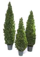 Treez   , 150 , 