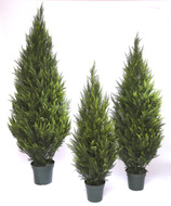 Treez   , 180 , 