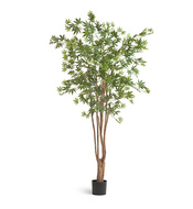 Treez   , 240 , 