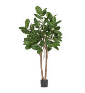 Treez   , 170 