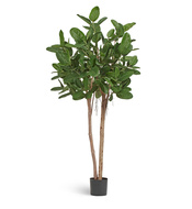 Treez   , 200 