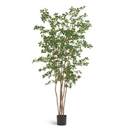 Treez    , 210 