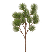 Treez     , 45 