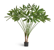 Treez    , 110 