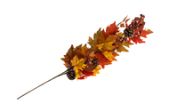 Anna Lafarg   Bright pumpkin  , 80 