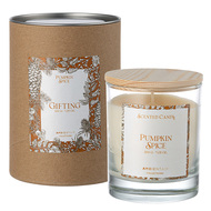 Ambientair   Gifting Pumpkin Spice, 40 