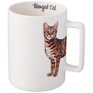  Bengal cat (400 ), 8.210.8 
