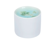 Royal Charm    , 109 , 