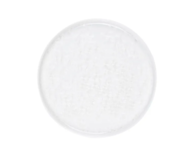 Royal Charm     , 21 , 