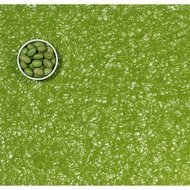 CHILEWICH   Grass, 3648 ,  Spun