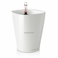 Lechuza  Deltini Premium, ,   , 151519 