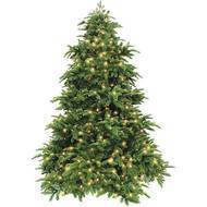 Triumph Tree  , 185 , 248 , 
