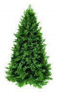 Triumph Tree  , 155 , 