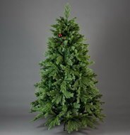 Triumph Tree  , 185 , 