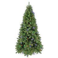 Triumph Tree   , 155 , 120 , 