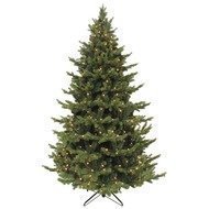 Triumph Tree   , 185 , 200 , 