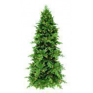 Triumph Tree  , 185 , 160 , 