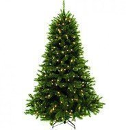 Triumph Tree   , 155 , 152 , 