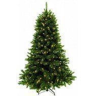 Triumph Tree   , 185 , 224 , 